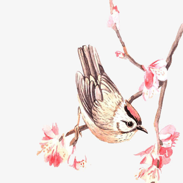 中国古典花鸟图免抠