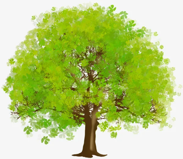 植物树叶和树浅色免抠