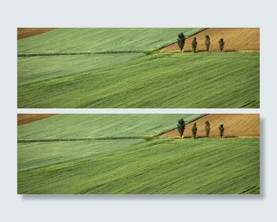 自然简约农田绿色背景高清