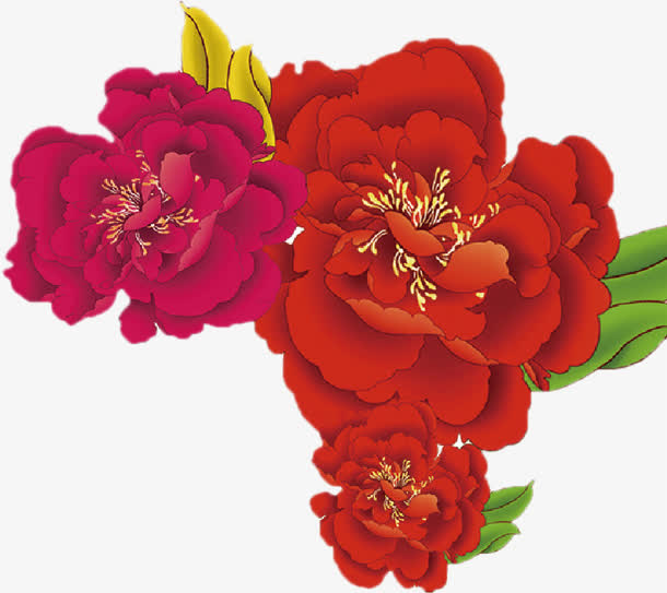 大红花免抠