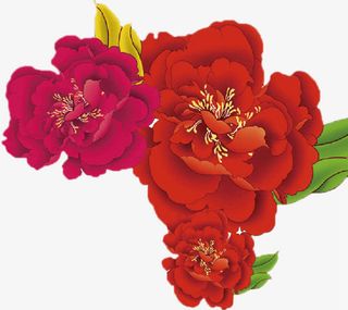大红花免抠