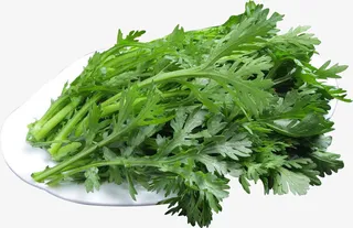 新鲜的蔬菜茼蒿免抠