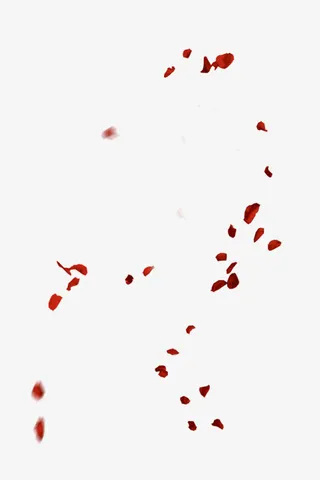 花瓣飘落免抠