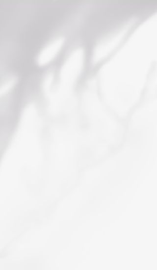 透明 背景 树影 剪影免抠背景其他元素