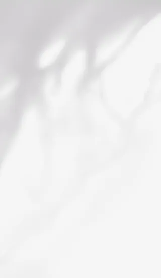 透明 背景 树影 剪影免抠背景其他元素