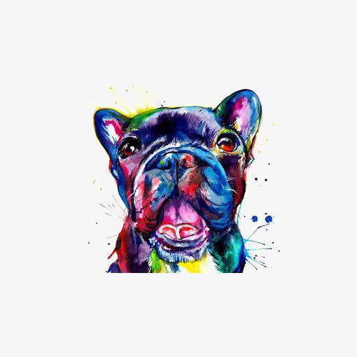 水彩斗牛犬免抠