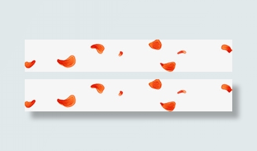 装饰元素飞舞漂浮的花瓣免抠