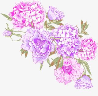 田园风格花朵唯美免抠