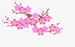 梅花免抠