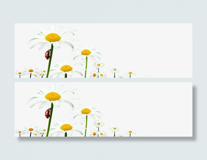 白色春天手绘花朵装饰免抠