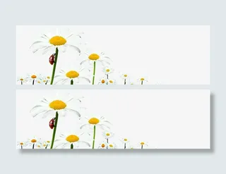 白色春天手绘花朵装饰免抠