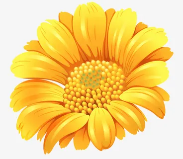 卡通手绘花朵免抠