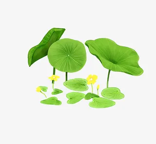手绘绿色荷花装饰设计元素免抠