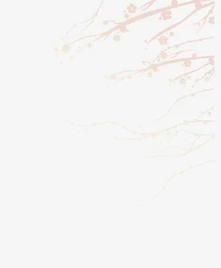 中国风梅花素材免抠