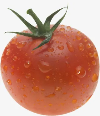 沾满露珠西红柿免抠