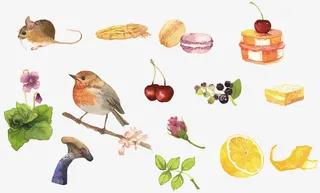 矢量水彩手绘免抠