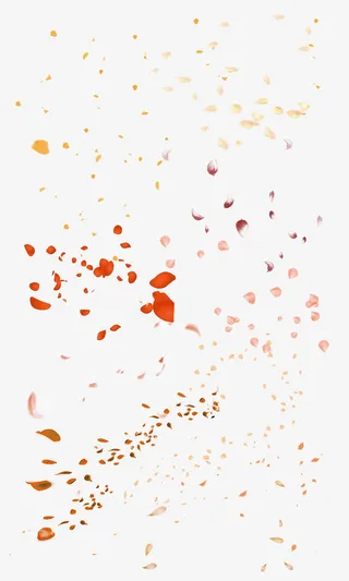 黄色清新花瓣漂浮素材免抠