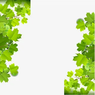 对称的修饰绿色扁平化唯美枫树叶免抠