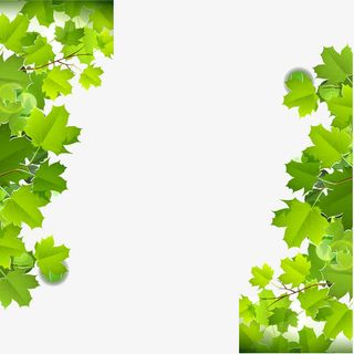 对称的修饰绿色扁平化唯美枫树叶免抠