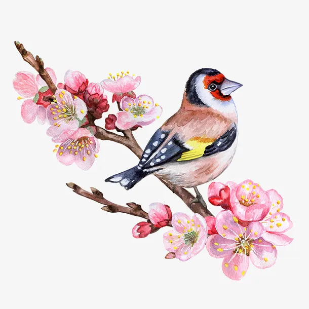 卡通手绘美丽的桃花小鸟免抠