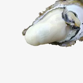 生蚝PNG图片免抠