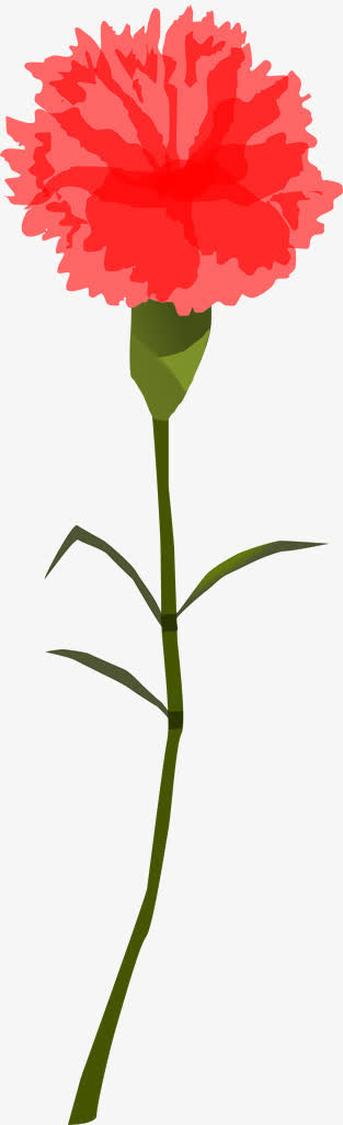 康乃馨免抠