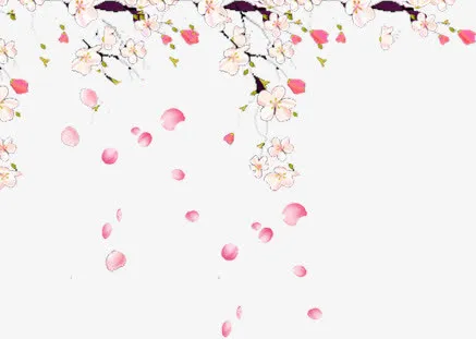 飘落粉色桃花花瓣免抠