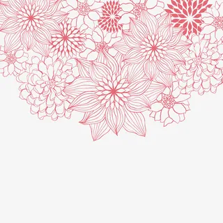 手绘多样花朵边框免抠