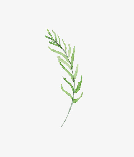 圣诞节手绘花纹素材免抠