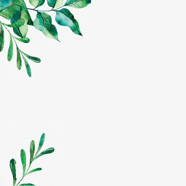 春天树叶枝条背景装饰免抠