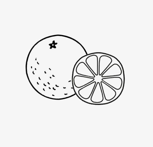 橙子卡通简笔画免抠