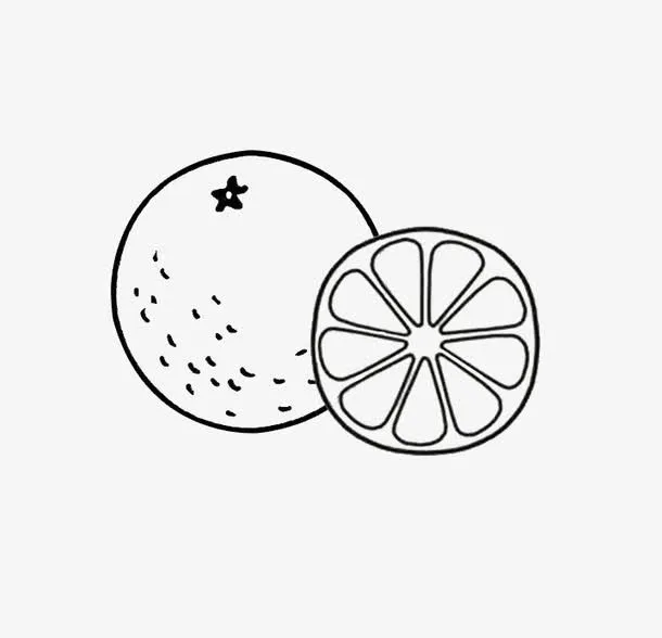 橙子卡通简笔画免抠