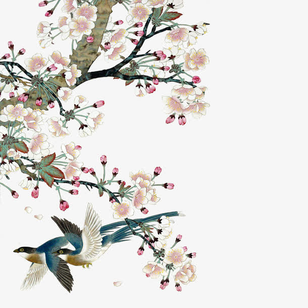 花鸟图免抠