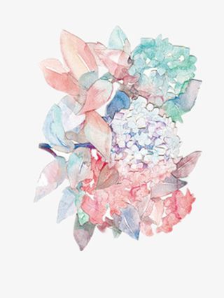 治愈花朵免抠