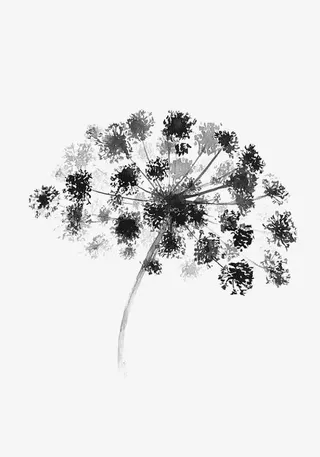 黑色花朵印花免抠