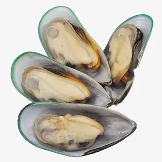 半壳青口贝免抠