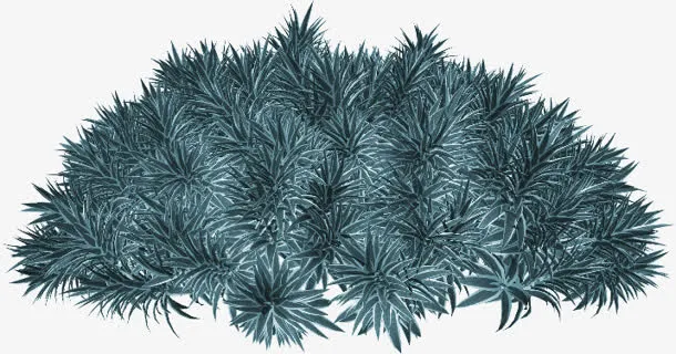 草丛绿叶草丛装饰免抠