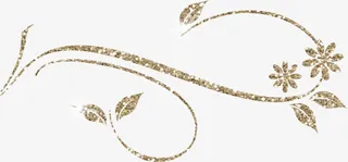 花纹修饰品免抠