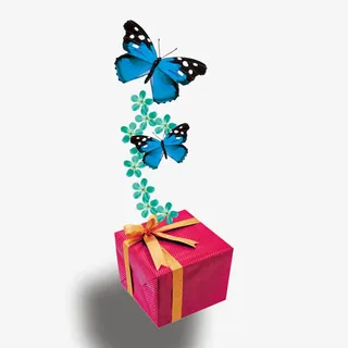 礼物蝴蝶免抠