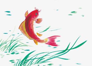 彩色水墨鲤鱼免抠