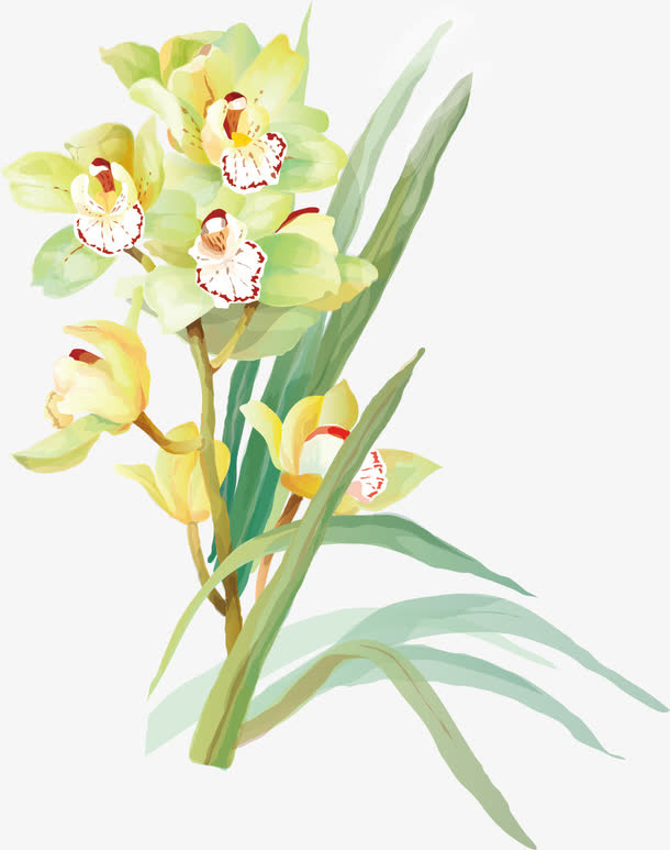手绘花免抠