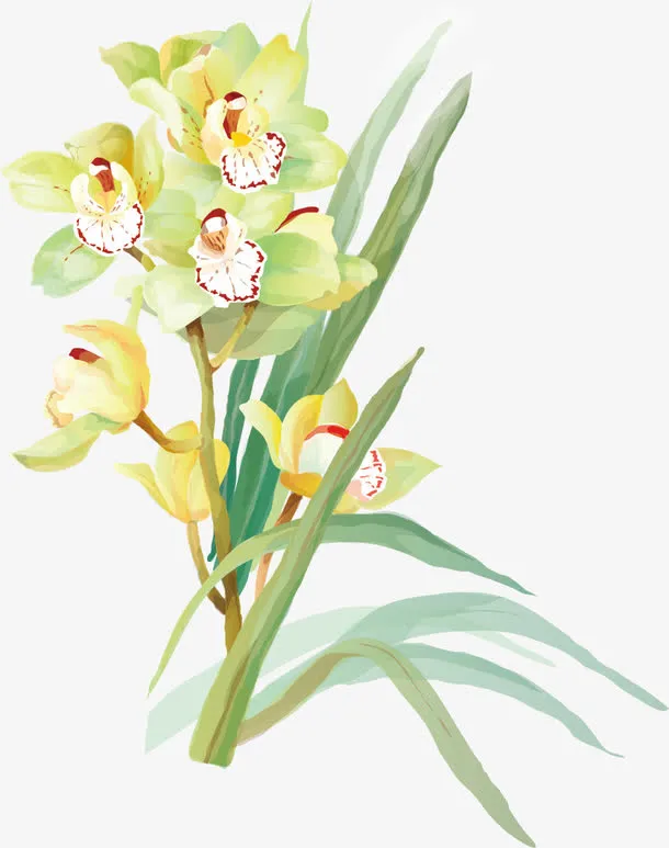 手绘花免抠