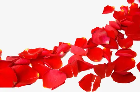 浪漫七夕唯美场景花瓣免抠