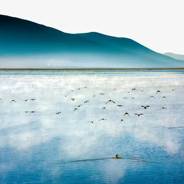 香格里拉鸟海免抠