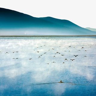 香格里拉鸟海免抠