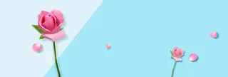 粉色花瓣简约蓝色banner背景高清