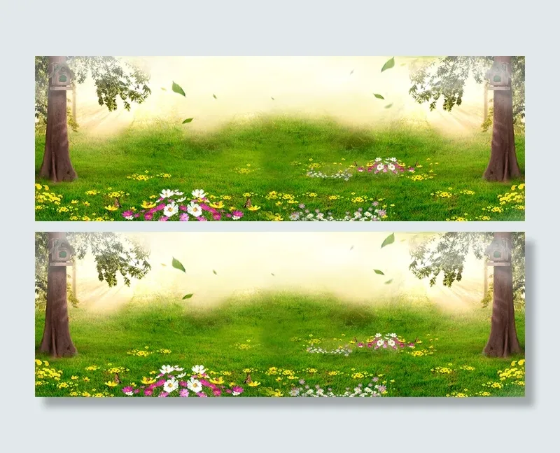 深林树木背景高清