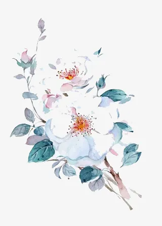水彩鲜花免抠
