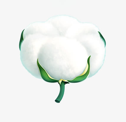 棉花免抠