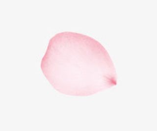 情人节妇女节三八节花瓣免抠节日妇女节元素